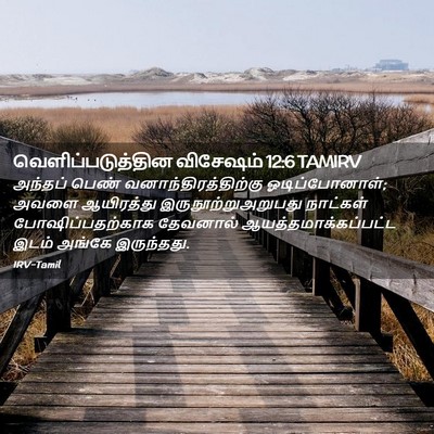 Picture 02 - வெளிப்படுத்தின விசேஷம் 12:6 TAMIRV - அந்தப் பெண் - Bible Verse Picture