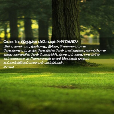 Picture 02 - வெளிப்படுத்தின விசேஷம் 14:14 TAMIRV - பின்பு நான் - Bible Verse Picture