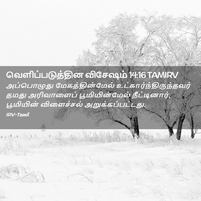 Picture 02 - வெளிப்படுத்தின விசேஷம் 14:16 TAMIRV - அப்பொழுது - Bible Verse Picture