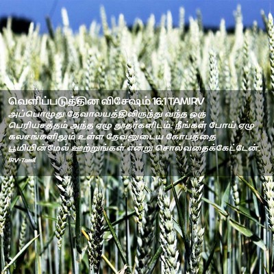 Picture 02 - வெளிப்படுத்தின விசேஷம் 16:1 TAMIRV - அப்பொழுது - Bible Verse Picture