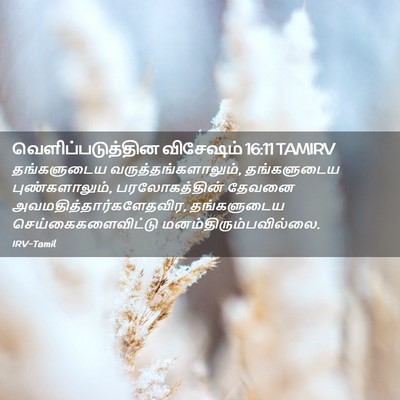 Picture 02 - வெளிப்படுத்தின விசேஷம் 16:11 TAMIRV - தங்களுடைய - Bible Verse Picture