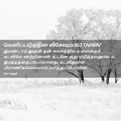 Picture 02 - வெளிப்படுத்தின விசேஷம் 16:3 TAMIRV - இரண்டாம் தூதன் - Bible Verse Picture
