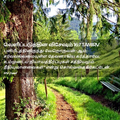Picture 02 - வெளிப்படுத்தின விசேஷம் 16:7 TAMIRV -  - Bible Verse Picture
