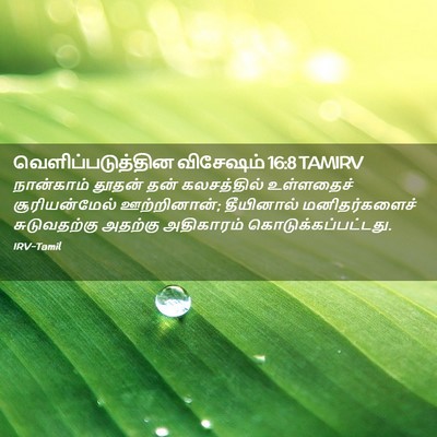 Picture 02 - வெளிப்படுத்தின விசேஷம் 16:8 TAMIRV - நான்காம் தூதன் - Bible Verse Picture