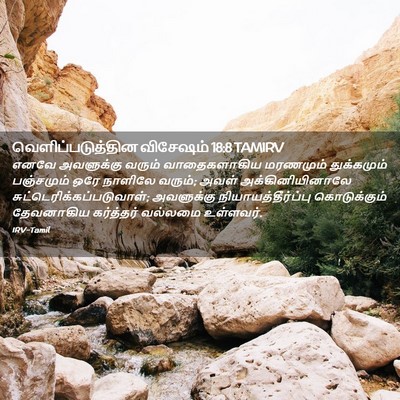 Picture 02 - வெளிப்படுத்தின விசேஷம் 18:8 TAMIRV - எனவே அவளுக்கு - Bible Verse Picture