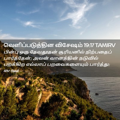 Picture 02 - வெளிப்படுத்தின விசேஷம் 19:17 TAMIRV - பின்பு ஒரு - Bible Verse Picture