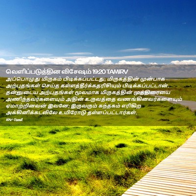 Picture 02 - வெளிப்படுத்தின விசேஷம் 19:20 TAMIRV - அப்பொழுது மிருகம் - Bible Verse Picture