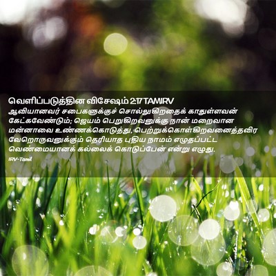 Picture 02 - வெளிப்படுத்தின விசேஷம் 2:17 TAMIRV - ஆவியானவர் - Bible Verse Picture