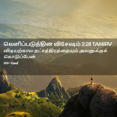 Picture 02 - வெளிப்படுத்தின விசேஷம் 2:28 TAMIRV - விடியற்கால - Bible Verse Picture