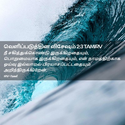 Picture 02 - வெளிப்படுத்தின விசேஷம் 2:3 TAMIRV - நீ - Bible Verse Picture