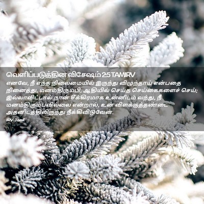 Picture 02 - வெளிப்படுத்தின விசேஷம் 2:5 TAMIRV - எனவே, நீ எந்த - Bible Verse Picture