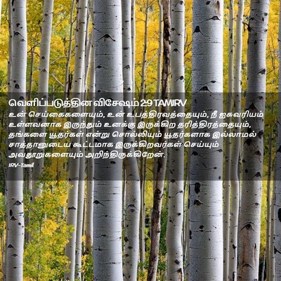 Picture 02 - வெளிப்படுத்தின விசேஷம் 2:9 TAMIRV - உன் - Bible Verse Picture