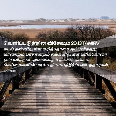 Picture 02 - வெளிப்படுத்தின விசேஷம் 20:13 TAMIRV - கடல் தன்னிலுள்ள - Bible Verse Picture