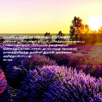 Picture 02 - வெளிப்படுத்தின விசேஷம் 20:9 TAMIRV - அவர்கள் - Bible Verse Picture