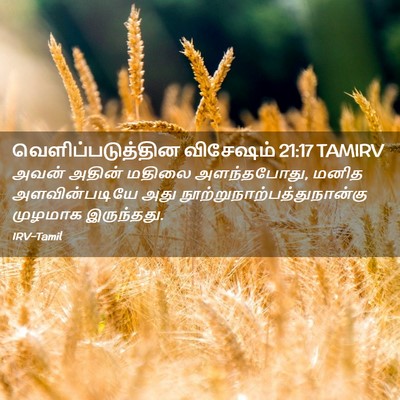 Picture 02 - வெளிப்படுத்தின விசேஷம் 21:17 TAMIRV - அவன் அதின் மதிலை - Bible Verse Picture