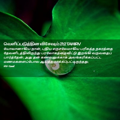 Picture 02 - வெளிப்படுத்தின விசேஷம் 21:2 TAMIRV - யோவானாகிய நான், - Bible Verse Picture
