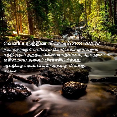 Picture 02 - வெளிப்படுத்தின விசேஷம் 21:23 TAMIRV - நகரத்திற்கு - Bible Verse Picture