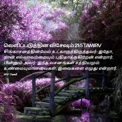 Picture 02 - வெளிப்படுத்தின விசேஷம் 21:5 TAMIRV -  - Bible Verse Picture