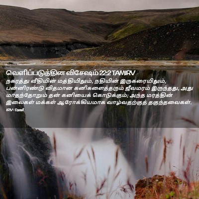 Picture 02 - வெளிப்படுத்தின விசேஷம் 22:2 TAMIRV - நகரத்து வீதியின் - Bible Verse Picture
