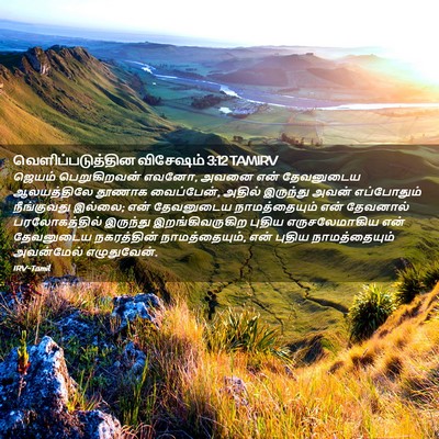 Picture 02 - வெளிப்படுத்தின விசேஷம் 3:12 TAMIRV - ஜெயம் பெறுகிறவன் - Bible Verse Picture
