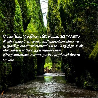 Picture 02 - வெளிப்படுத்தின விசேஷம் 3:2 TAMIRV - நீ - Bible Verse Picture