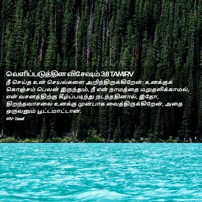 Picture 02 - வெளிப்படுத்தின விசேஷம் 3:8 TAMIRV - நீ செய்த உன் - Bible Verse Picture