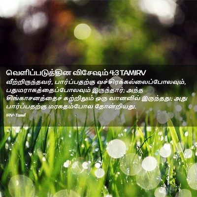 Picture 02 - வெளிப்படுத்தின விசேஷம் 4:3 TAMIRV - வீற்றிருந்தவர், - Bible Verse Picture