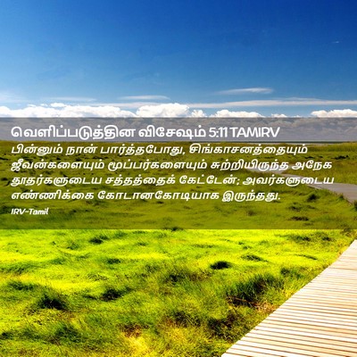 Picture 02 - வெளிப்படுத்தின விசேஷம் 5:11 TAMIRV - பின்னும் நான் - Bible Verse Picture