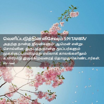 Picture 02 - வெளிப்படுத்தின விசேஷம் 5:14 TAMIRV - அதற்கு நான்கு - Bible Verse Picture