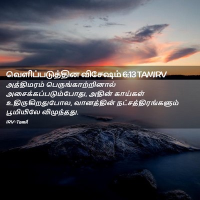 Picture 02 - வெளிப்படுத்தின விசேஷம் 6:13 TAMIRV - அத்திமரம் - Bible Verse Picture