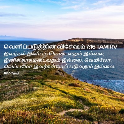 Picture 02 - வெளிப்படுத்தின விசேஷம் 7:16 TAMIRV - இவர்கள் இனிப் - Bible Verse Picture