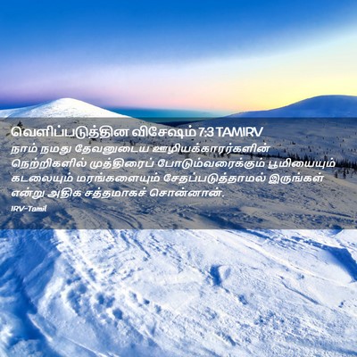 Picture 02 - வெளிப்படுத்தின விசேஷம் 7:3 TAMIRV - நாம் நமது - Bible Verse Picture