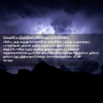 Picture 02 - வெளிப்படுத்தின விசேஷம் 8:13 TAMIRV - பின்பு, ஒரு கழுகு - Bible Verse Picture