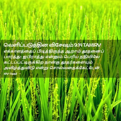 Picture 02 - வெளிப்படுத்தின விசேஷம் 9:14 TAMIRV - எக்காளத்தைப் - Bible Verse Picture