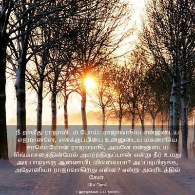 Picture 03 - 1 இராஜாக்கள் 1:13 TAMIRV - நீ தாவீது - Bible Verse Picture