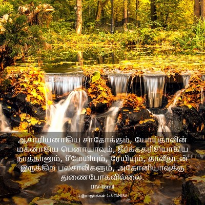 Picture 03 - 1 இராஜாக்கள் 1:8 TAMIRV - ஆசாரியனாகிய - Bible Verse Picture
