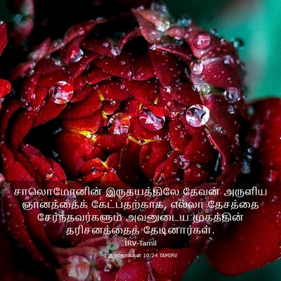 Picture 03 - 1 இராஜாக்கள் 10:24 TAMIRV - சாலொமோனின் - Bible Verse Picture
