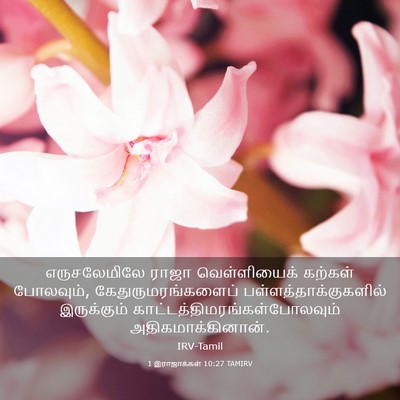 Picture 03 - 1 இராஜாக்கள் 10:27 TAMIRV - எருசலேமிலே ராஜா - Bible Verse Picture