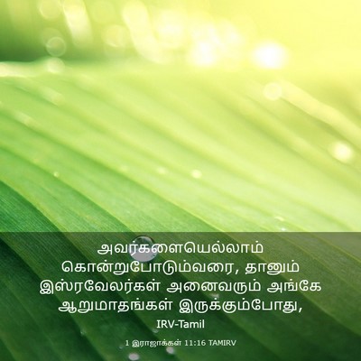 Picture 03 - 1 இராஜாக்கள் 11:16 TAMIRV - அவர்களையெல்லாம் - Bible Verse Picture