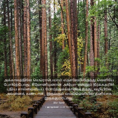 Picture 03 - 1 இராஜாக்கள் 11:29 TAMIRV - அக்காலத்திலே - Bible Verse Picture