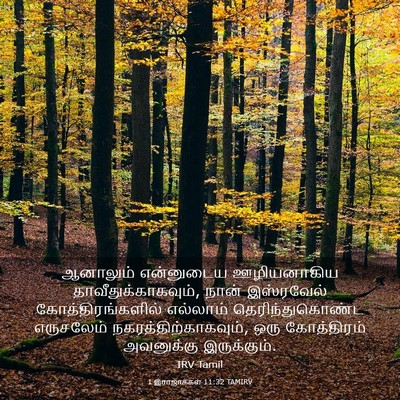 Picture 03 - 1 இராஜாக்கள் 11:32 TAMIRV - ஆனாலும் என்னுடைய - Bible Verse Picture