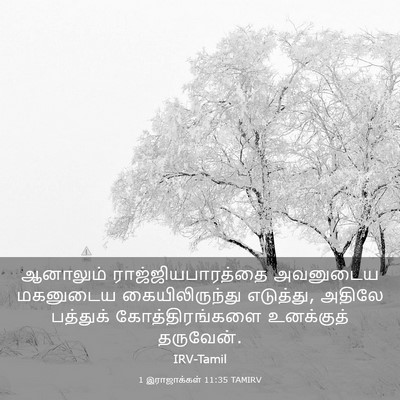 Picture 03 - 1 இராஜாக்கள் 11:35 TAMIRV - ஆனாலும் - Bible Verse Picture