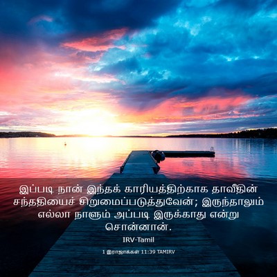 Picture 03 - 1 இராஜாக்கள் 11:39 TAMIRV - இப்படி நான் - Bible Verse Picture