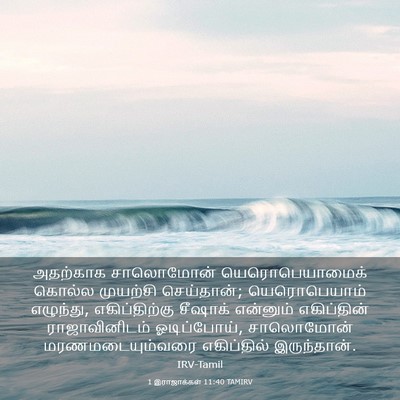 Picture 03 - 1 இராஜாக்கள் 11:40 TAMIRV - அதற்காக சாலொமோன் - Bible Verse Picture