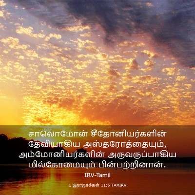 Picture 03 - 1 இராஜாக்கள் 11:5 TAMIRV - சாலொமோன் - Bible Verse Picture