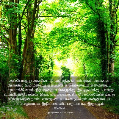 Picture 03 - 1 இராஜாக்கள் 12:10 TAMIRV - அப்பொழுது அவனோடு - Bible Verse Picture