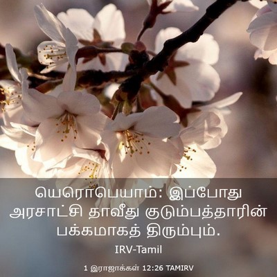 Picture 03 - 1 இராஜாக்கள் 12:26 TAMIRV - யெரொபெயாம்: - Bible Verse Picture