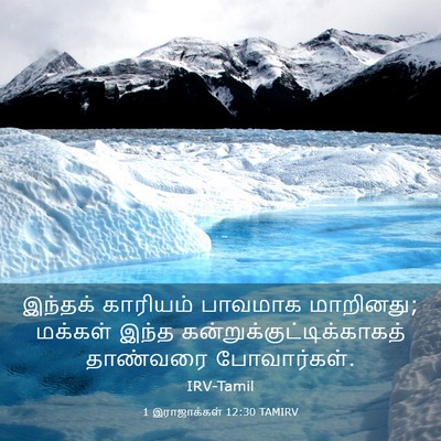 Picture 03 - 1 இராஜாக்கள் 12:30 TAMIRV - இந்தக் காரியம் - Bible Verse Picture
