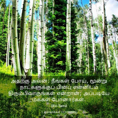 Picture 03 - 1 இராஜாக்கள் 12:5 TAMIRV - அதற்கு அவன்: - Bible Verse Picture