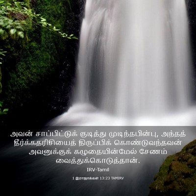 Picture 03 - 1 இராஜாக்கள் 13:23 TAMIRV - அவன் சாப்பிட்டுக் - Bible Verse Picture